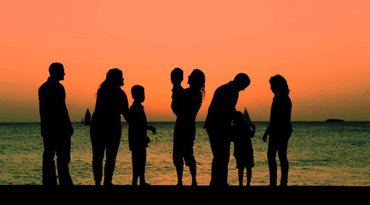 Dementia Prevention - City Survivor