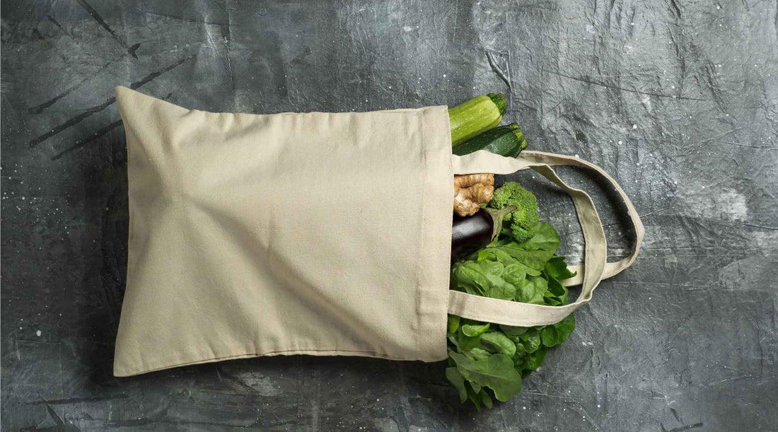 Fads vs forever healthy habits - City Survivor