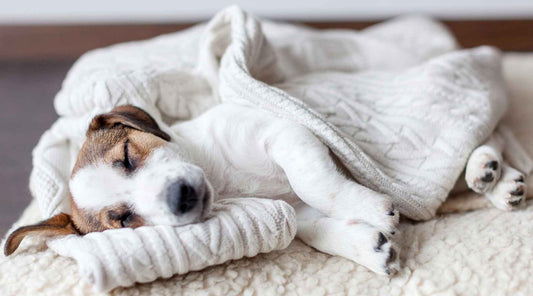 How to sleep better even when stressed